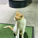 신남회관