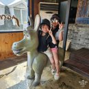 태미목장 이미지