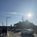 은행자동차(주) | 원주 반계리은행나무 방문후기 주차 꿀팁까지