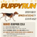 퍼피런
