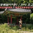 부안임씨 쌍효 정려 | 세종시 연서효교비 독립유공애국지사 홍일섭기적비 효자김한정정려