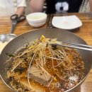 현대봉평막국수 | 평창 애견동반 맛집 추천, 강아지와 함께 다녀온 봉평현대막국수 후기