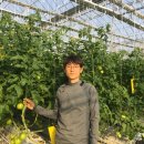 곤명농협 이미지