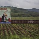 삼수농장 이미지