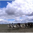 2007 몽골에서 말타기 사진모음 이미지