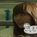 현아농장 이미지