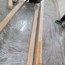 금평초등학교 이미지