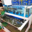 안면도농수산