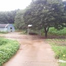 평수농장 이미지