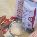 유비링크 | 아이가 맛있게먹는 키즈유산균 솔직후기ㅣ포키유비피밸런스키즈