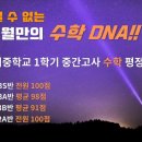 11월의로렐