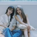 너는 내 댕댕 이미지