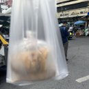 DQ24시 | [태국 여행 6일차] 찌라옌타포, 아이싸롯디, 벨럭으로 수완나품 공항에 수화물 보내기, 짜뚜짝시장...