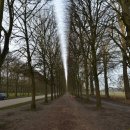 신사동 2-25 이미지