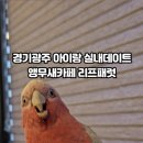 리프패럿광주 - 광산구 풍영로 43 | 리프패럿광주