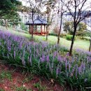 갈매천공원화장실 이미지