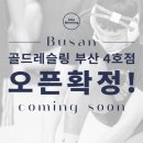 골드레슬링 이미지