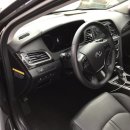 애니카랜드토월점 이미지