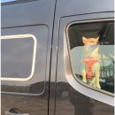 라이프티앤티 이미지