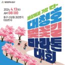 2024 대청호 벚꽃길 마라톤 대회 이미지