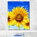 생활풍수지리 이미지