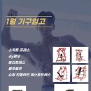 썸머핏