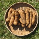 안성면100 이미지