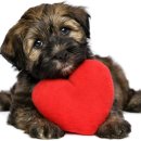 김포동물병원 이미지