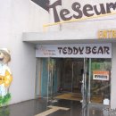 테지움사파리 이미지