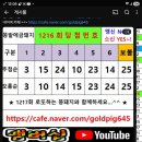 1216 이미지