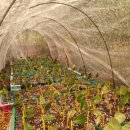 상내농장 이미지