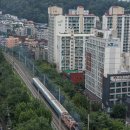 H2521 이미지