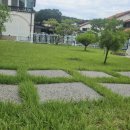 일진빌리지 이미지