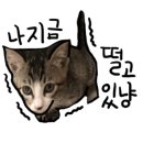 고경피부관리 네이버블로그