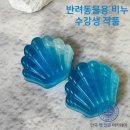 한국반려동물전문학원