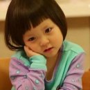 유창여행사 이미지