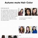 퍼스널컬러파베프로젝트