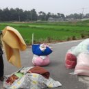 반월마을회관 이미지