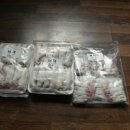 컴페니언 펫 이미지