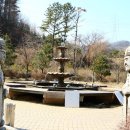 소나무향기 이미지