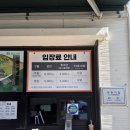 수국 축제중인 용인 자작나무숲 애견동반으로 다녀온 후기