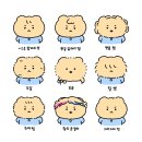 내머리어때 - 고양시 일산서구 | 내머리어때