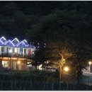 반디네허브 이미지