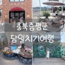 이레농장 | 여행 : 아이들과 충청북도 증평군 당일치기여행 (일미분식,카페무무,참좋은굼벵이곤충농장)