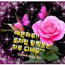 죽산시장 이미지