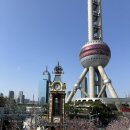 차이나스푼 | [상하이] 디즈니 차이나 플래그십 스토어 | 비추 후기