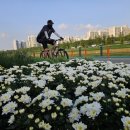 목동청구공인중개사사무소 이미지