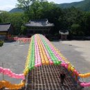 표충사 2 이미지