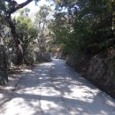 홍릉초교 이미지