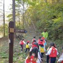 춘천유치원 이미지